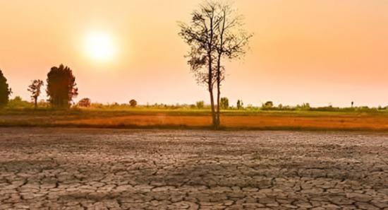 Dry Weather Impact Survey Begins